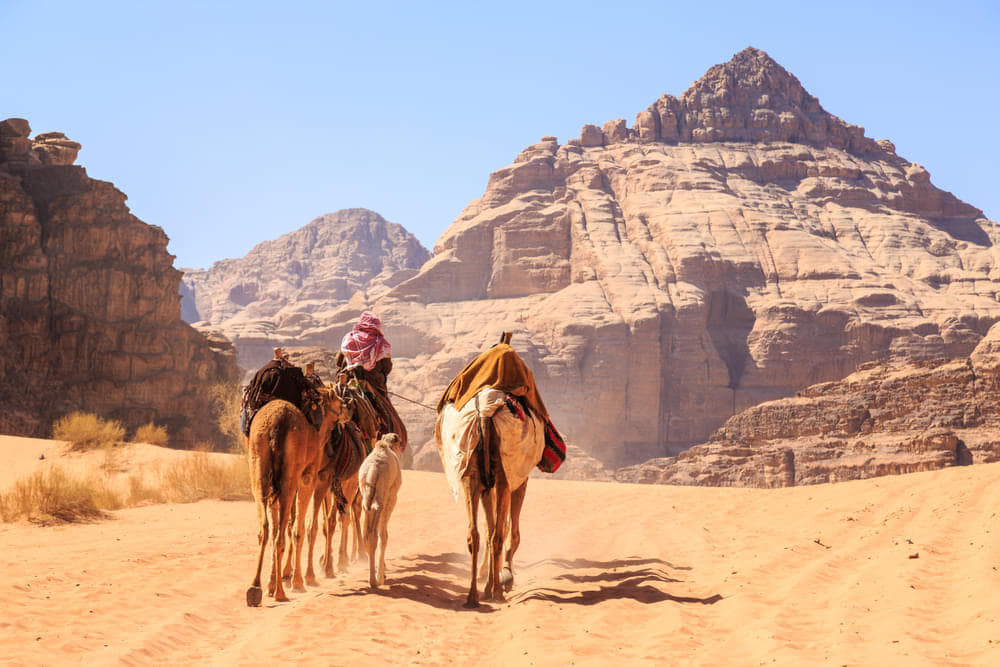 Best Experiences to Have in Wadi Rum