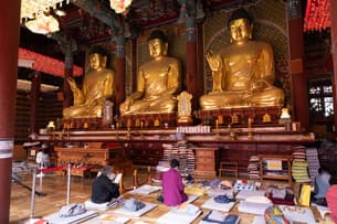 Je2mmc1qi70zcg0imdcbc2e5rxza shutterstock 2297506293