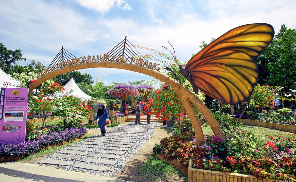 See a variety of 6,000 butterflies at the picturesque Butterfly Park