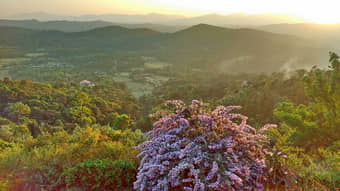 Virajpet Half Day Sightseeing Tour Coorg