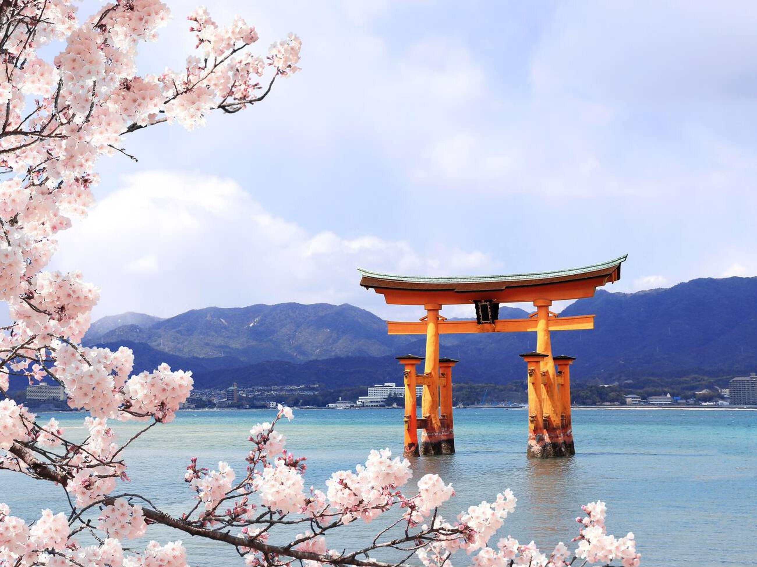 The Instagrammable Japan | Cherry Blossom Special