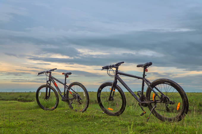 Kaziranga Full Day Cycling Tour