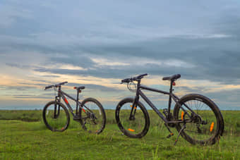 Kaziranga Full Day Cycling Tour