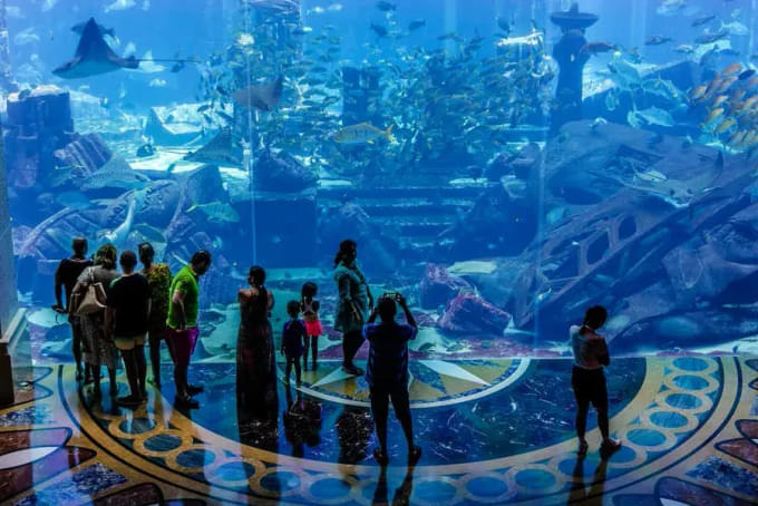 Why To Book Ripley's Aquarium Tickets?