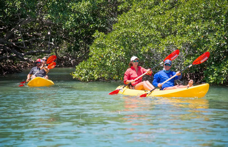 Kayak Tours Key West Image