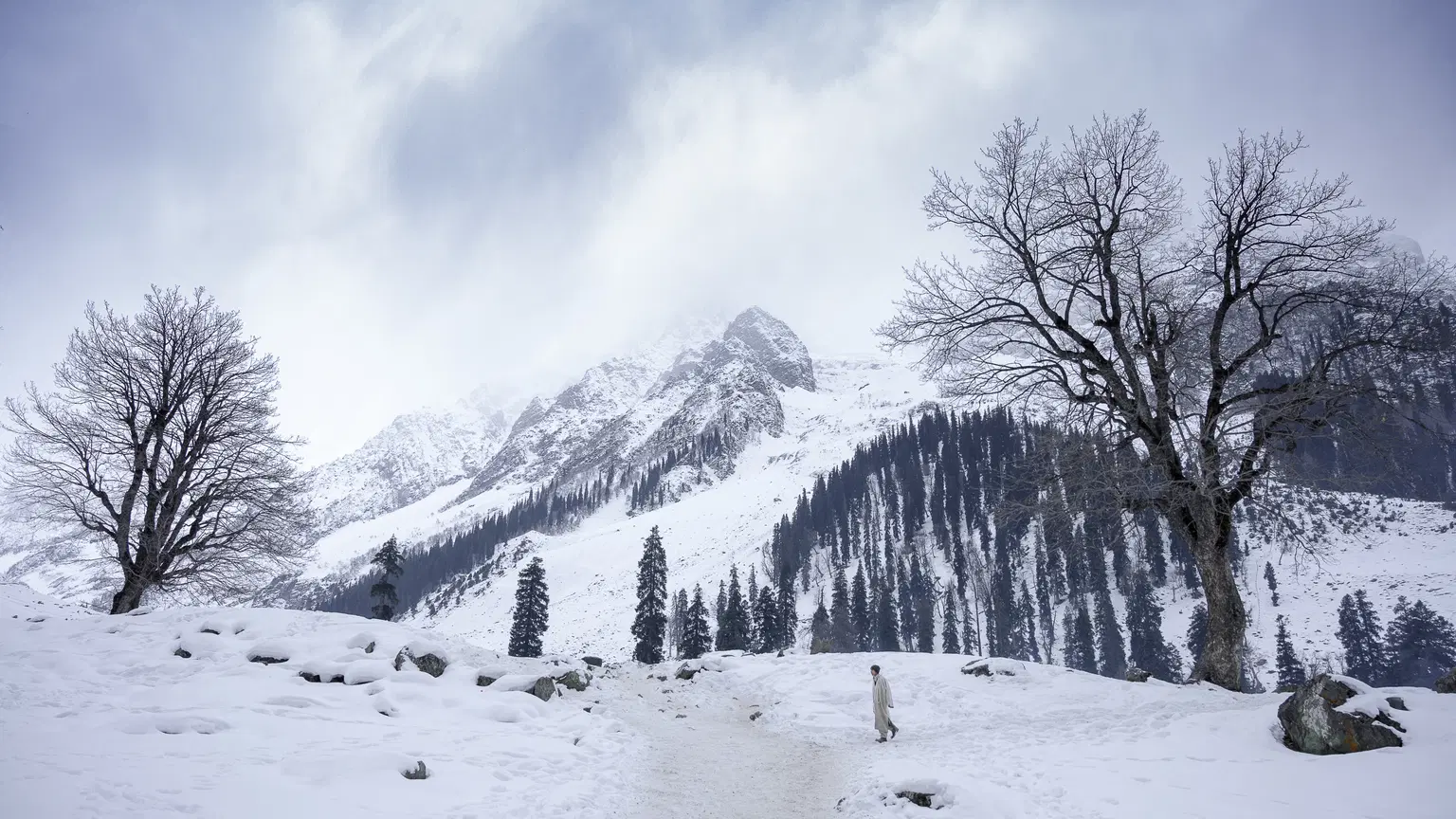 <em>Srinagar</em> Tour Packages From Delhi 