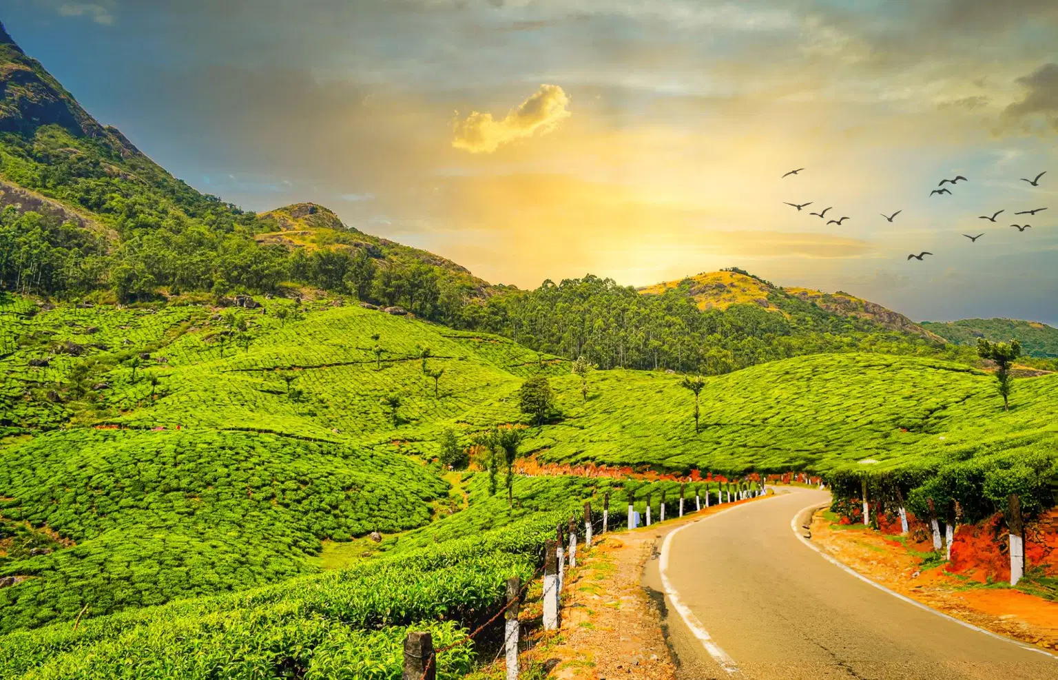 Glimpse of Kerala | Waterfalls, Wildlife and Winding Roads
