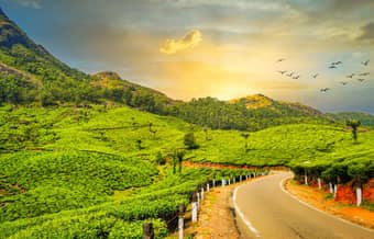 Admire panoramic view of the Munnar Hills, Kerala