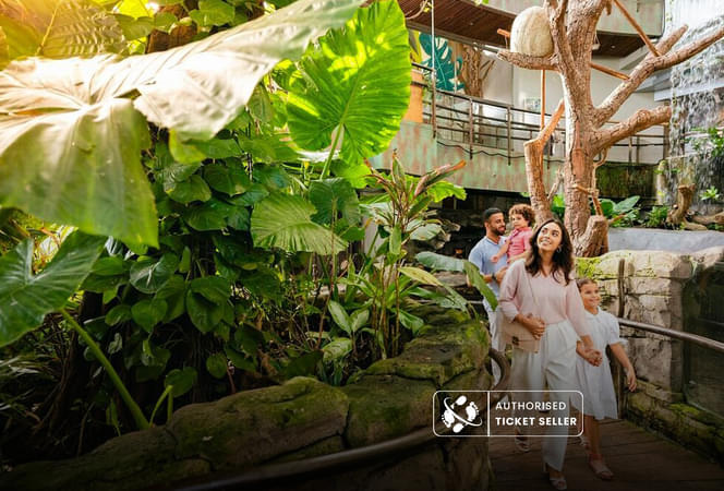 Jfe3n2t0vxnvrmwwfmzlaia4a7s0 artboard%204%20copy%2025