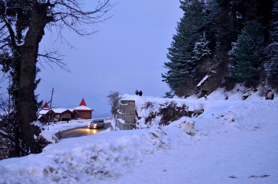 Shimla to Kufri Day Trip Image