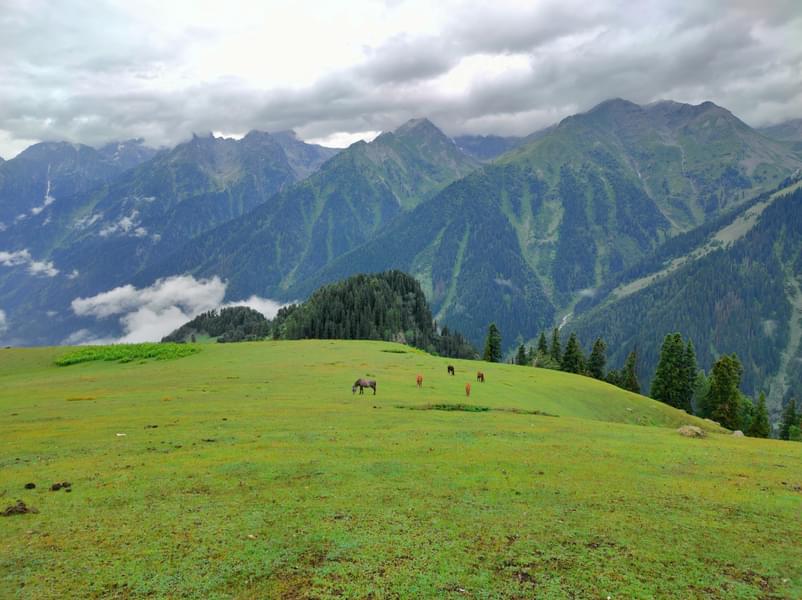 Heavenly Bliss | Kashmir Honeymoon Retreat Image
