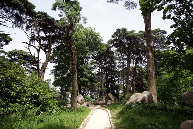  Pena Palace Park