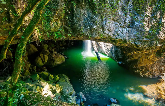 Natural Bridge and Springbrook Cascades