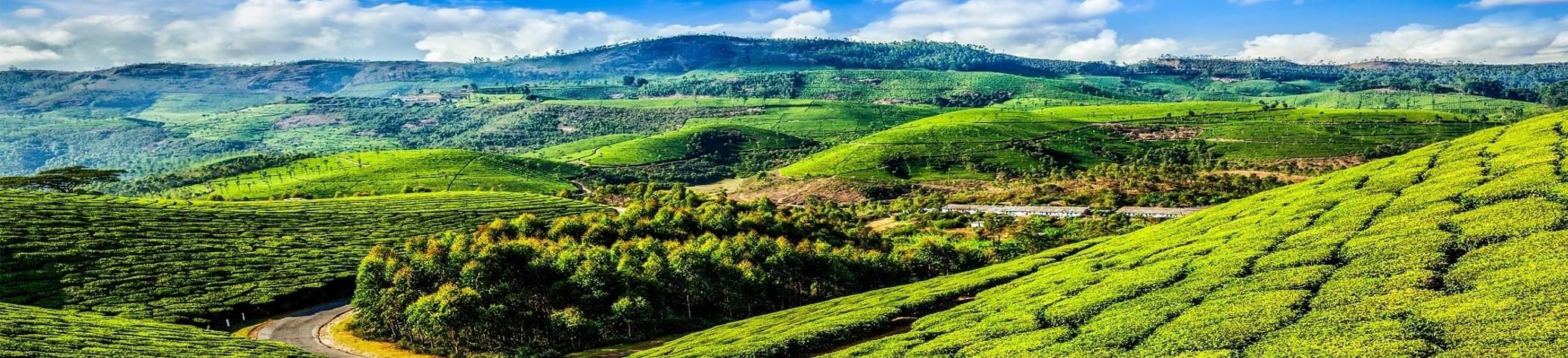 Things To Do In Munnar