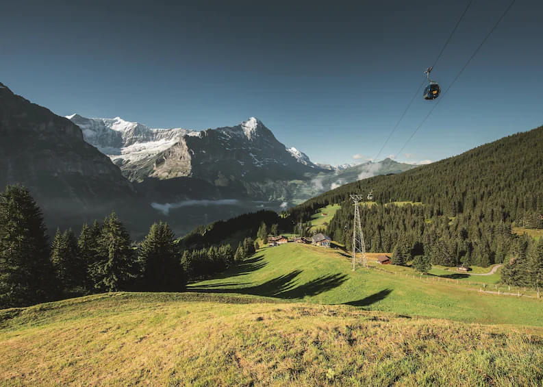 Take a cable car to admire the First Mountain
