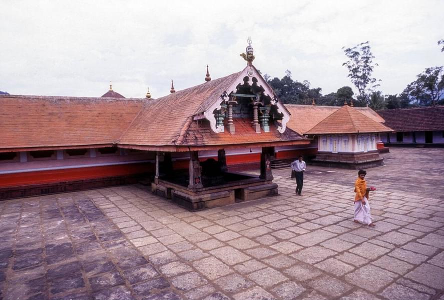 Coorg Sightseeing Package Image
