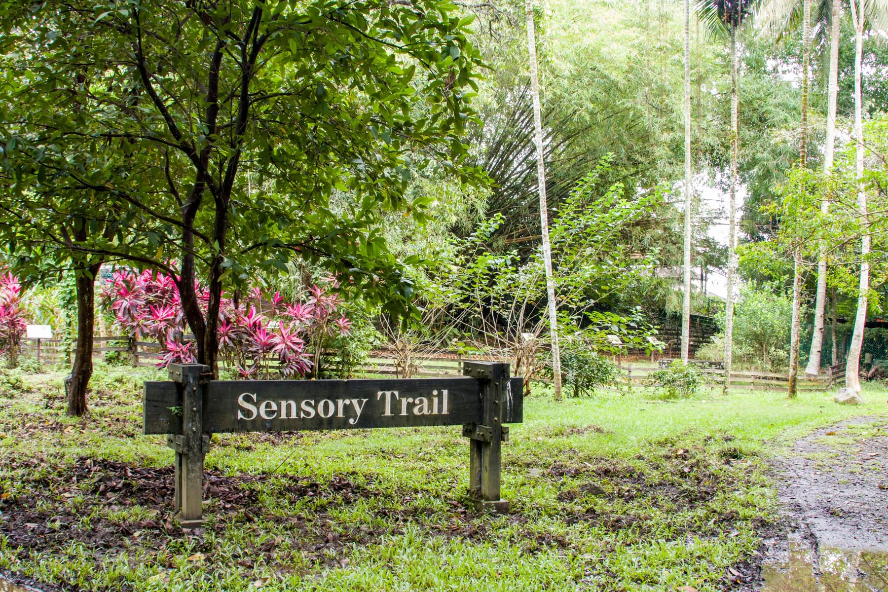 Sensory Trail