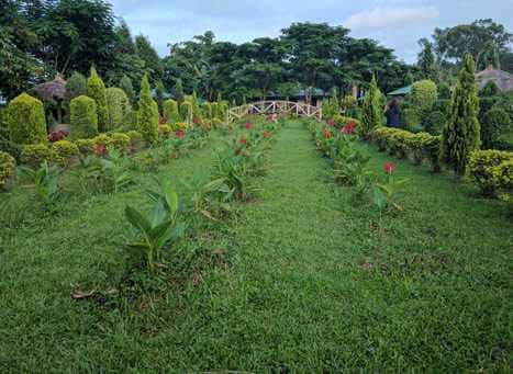 Matai Garden