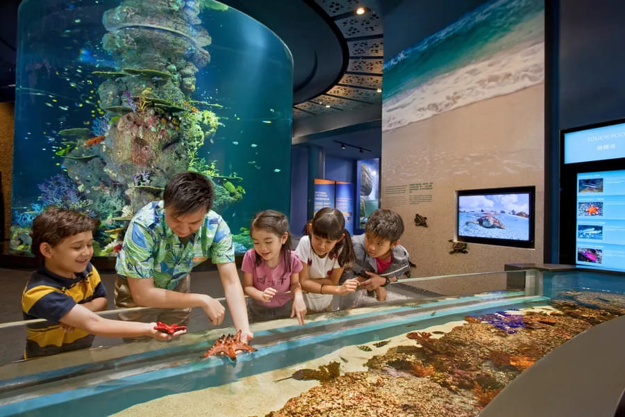 Learn more about the marine ecosystem and have fun with the kids.