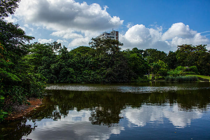 Eco-Lake