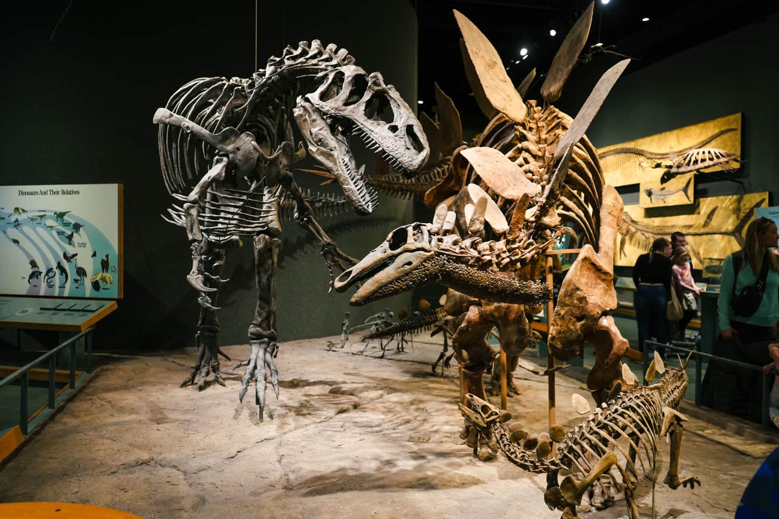 Denver Museum of Nature & Science