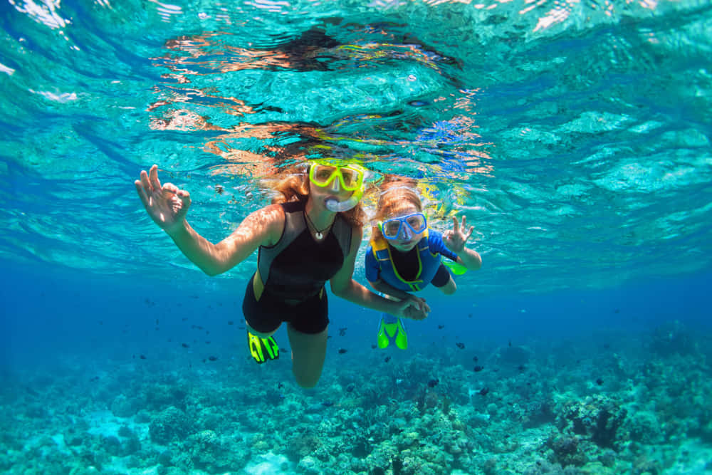 Snorkeling at Nusa Dua