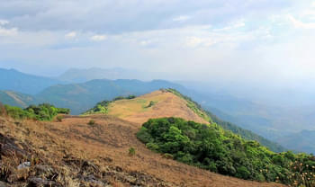 Ji3g6uftlvyn5gvkqdf6o6rtwlsi 1550730571 1200px paithalmala.jpg