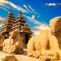 cultural-gems-of-tamil-nadu-from-temples-to-shores