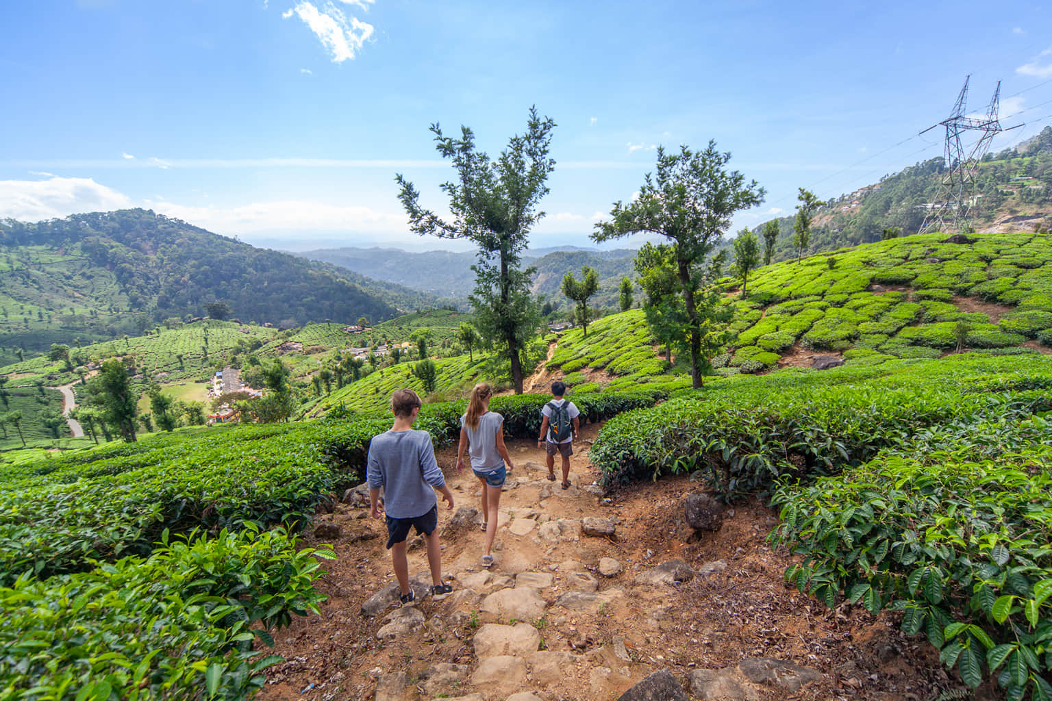 Best Experiential Tours