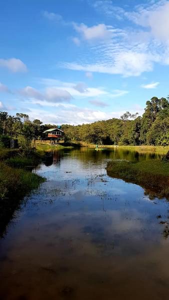 Rottikallu Homestay, Sakleshpur Image