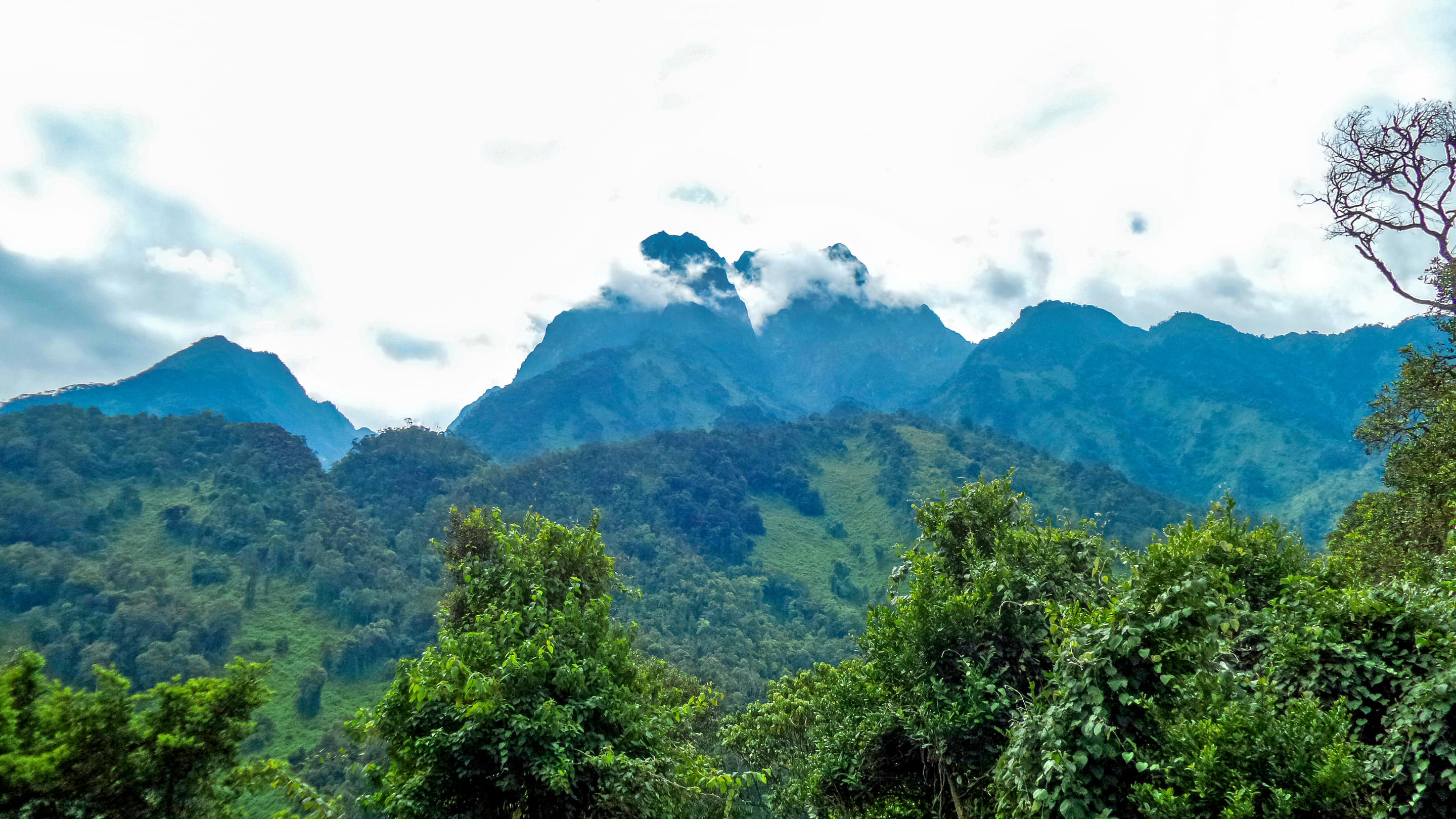 The Rwenzori Mountains National Park Overview