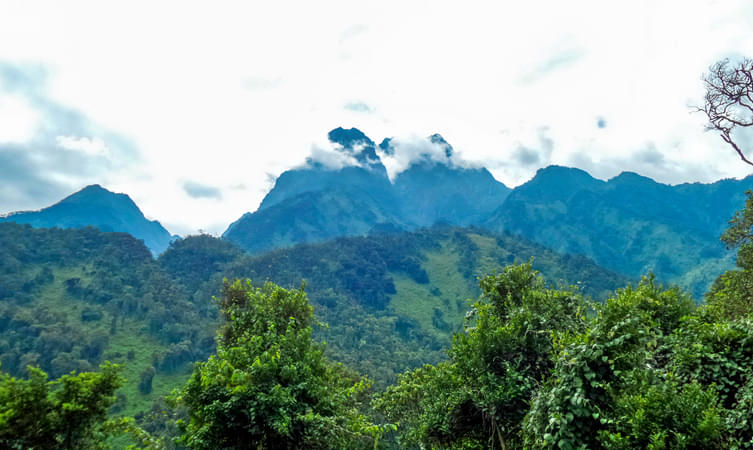 The Rwenzori Mountains National Park