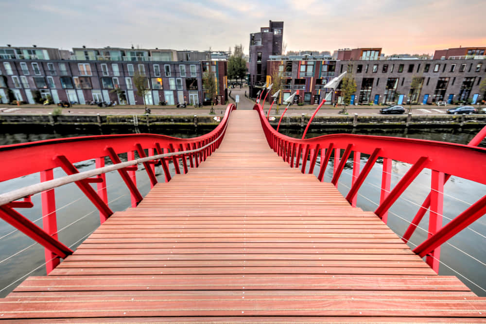Python Bridge, <em>Amsterdam</em>