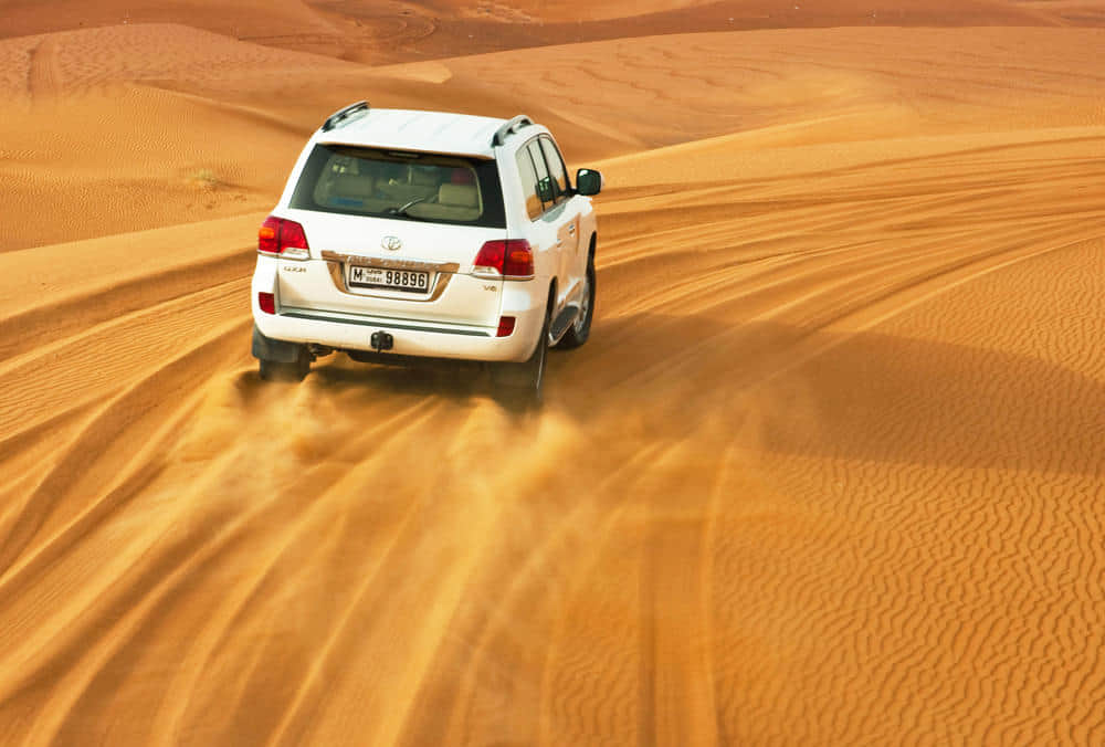 Dubai Desert Safari Tours - Flat 40% Off