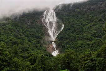 Marvel at the India's largest waterfalls- Dudhsagar falls