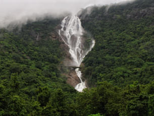 Marvel at the India's largest waterfalls- Dudhsagar falls