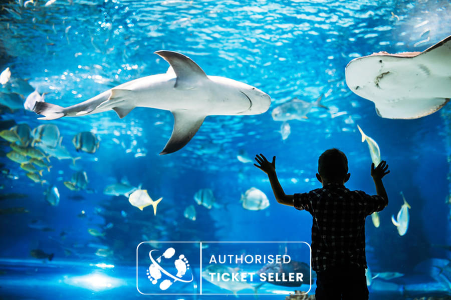 Spend an amazing day at Aquarium de Paris 