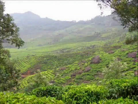 Photo from Prema Mahajan's trip