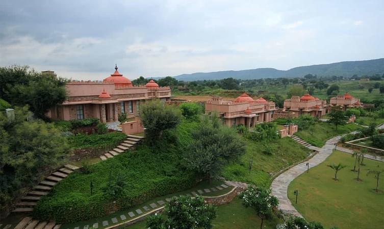 Welcome to the Tree of Life, Jaipur