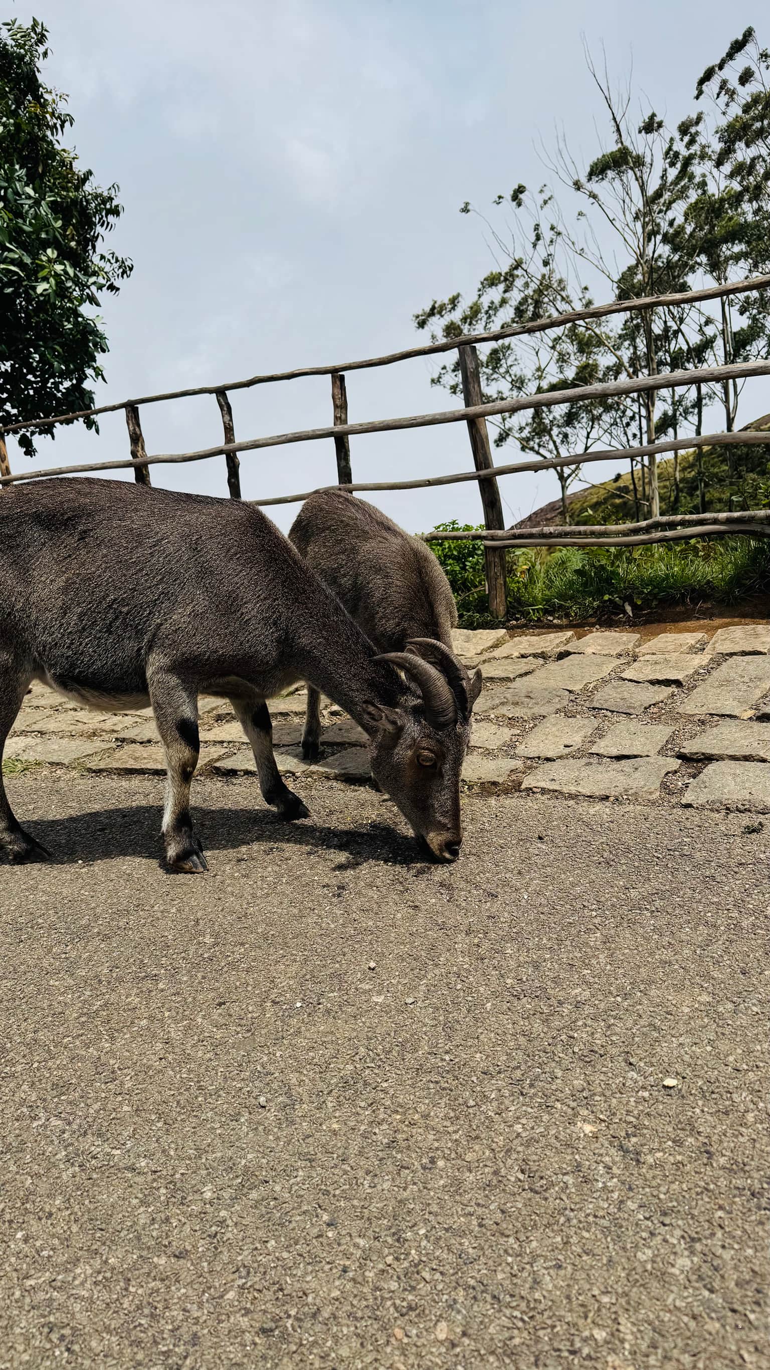 Photo from Anamika Kumari's trip