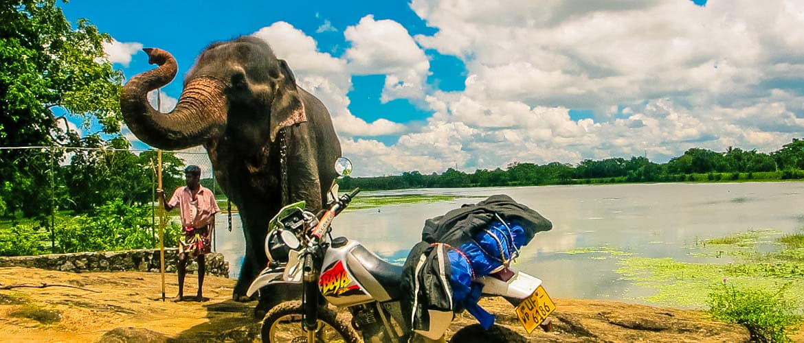 Sha Lanka Negombo Motorcycle Tour Image