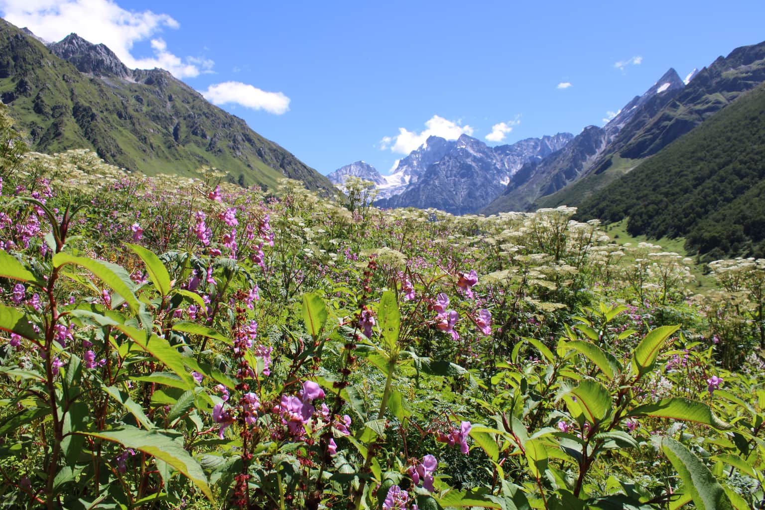 Photo from Bharat  Verma's trip