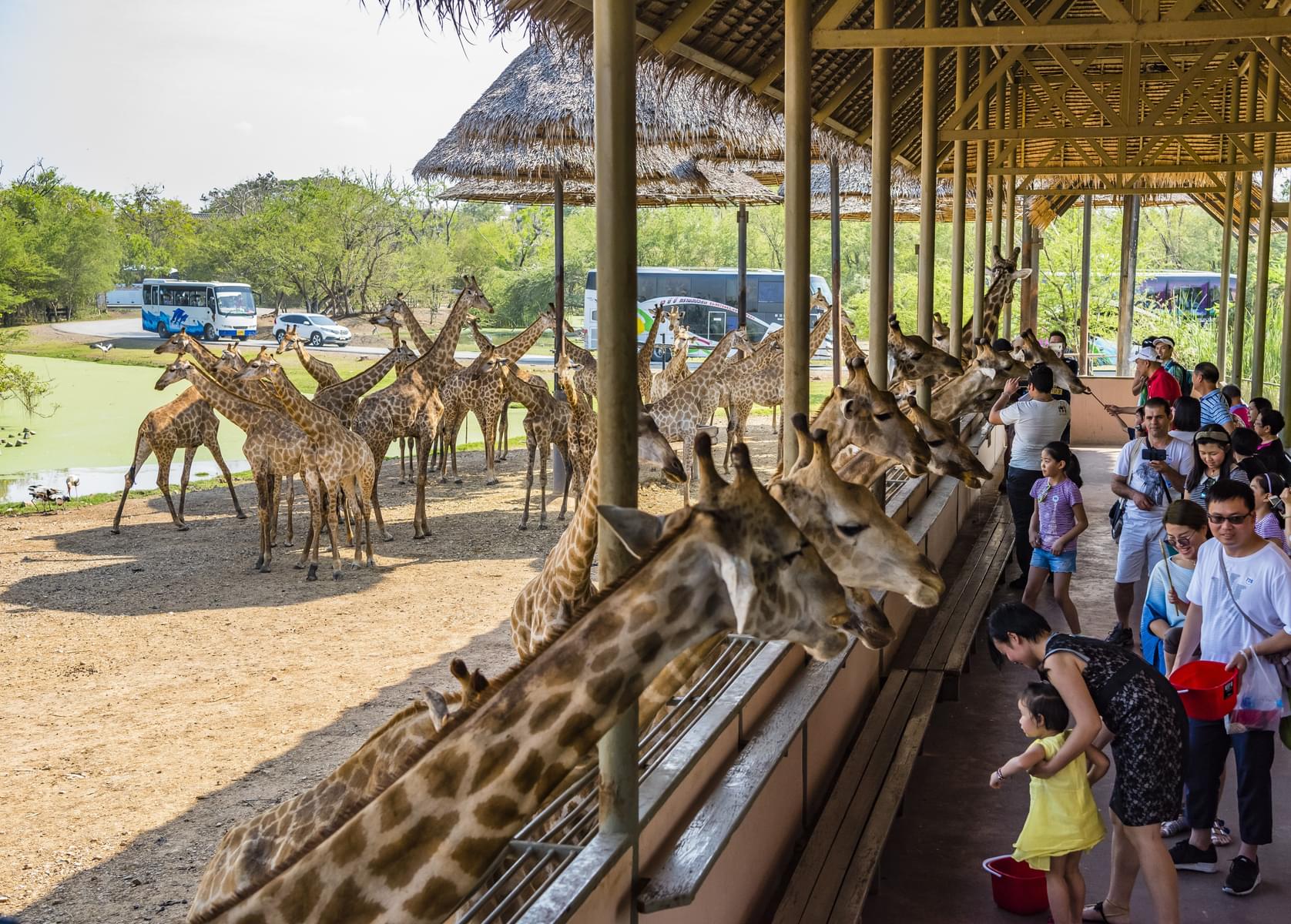 Tips To Visit Safari World Bangkok