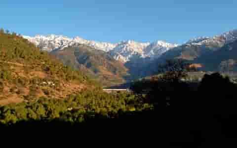Palampur Tour Packages