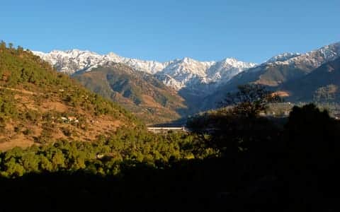 Things to do in <em>Palampur</em>