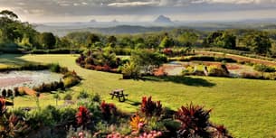 Maleny Botanic Gardens & Bird World Tickets, Australia