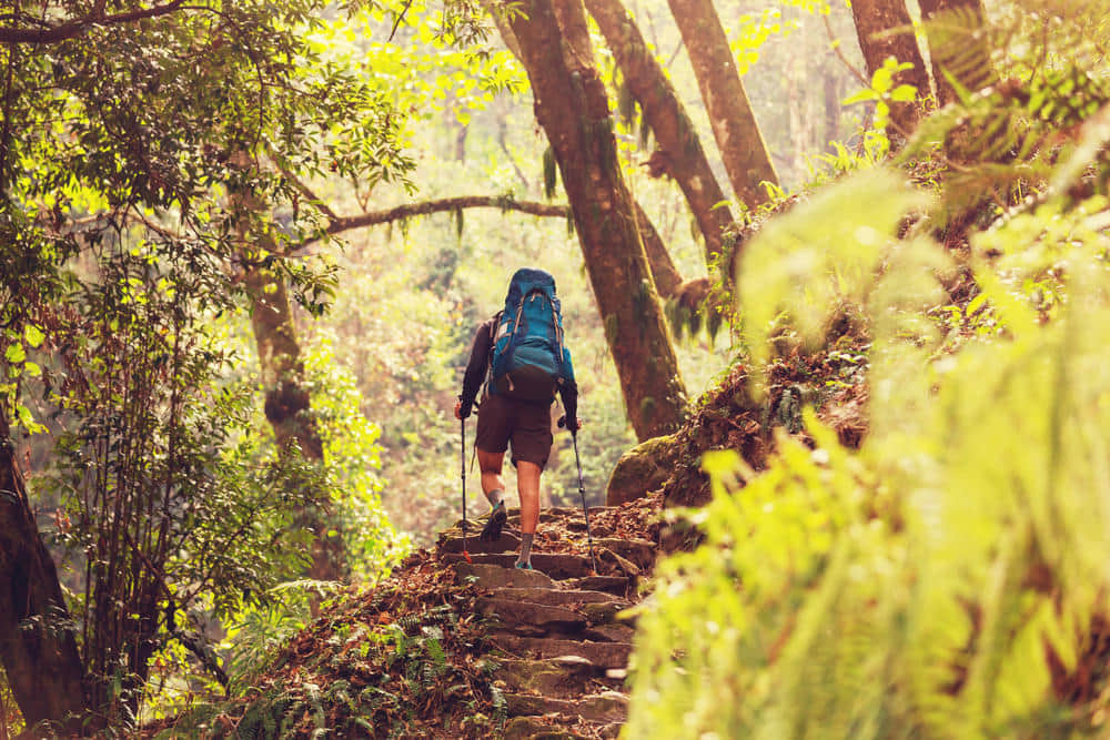 Trekking Experiences in Indore