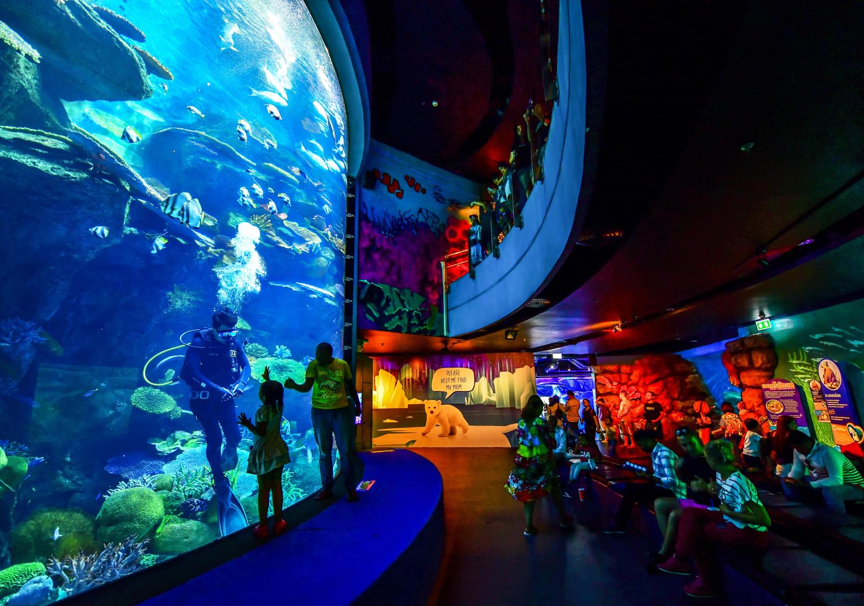 Observe the colorful marine world through the glass walls