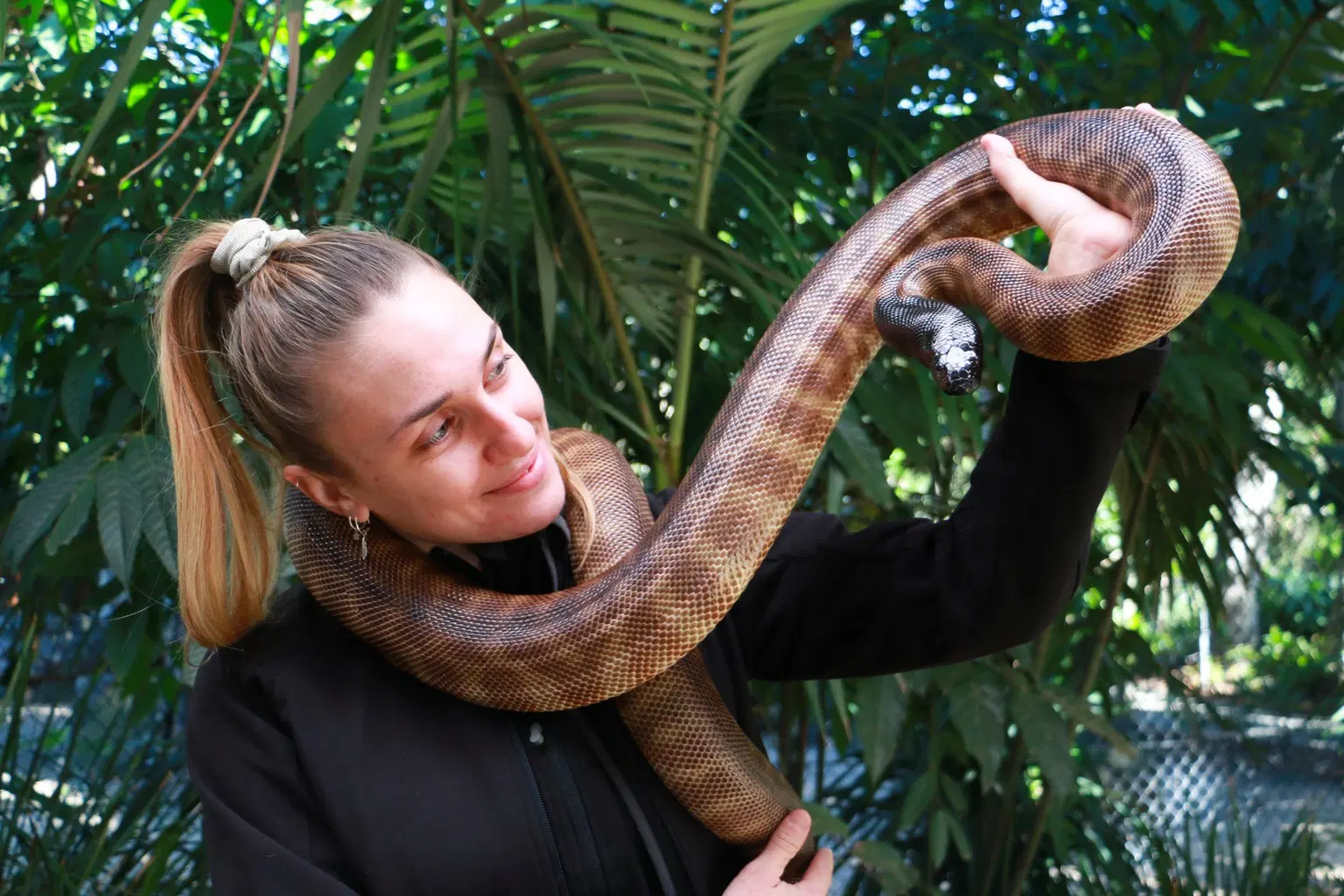 Currumbin Wildlife Sanctuary