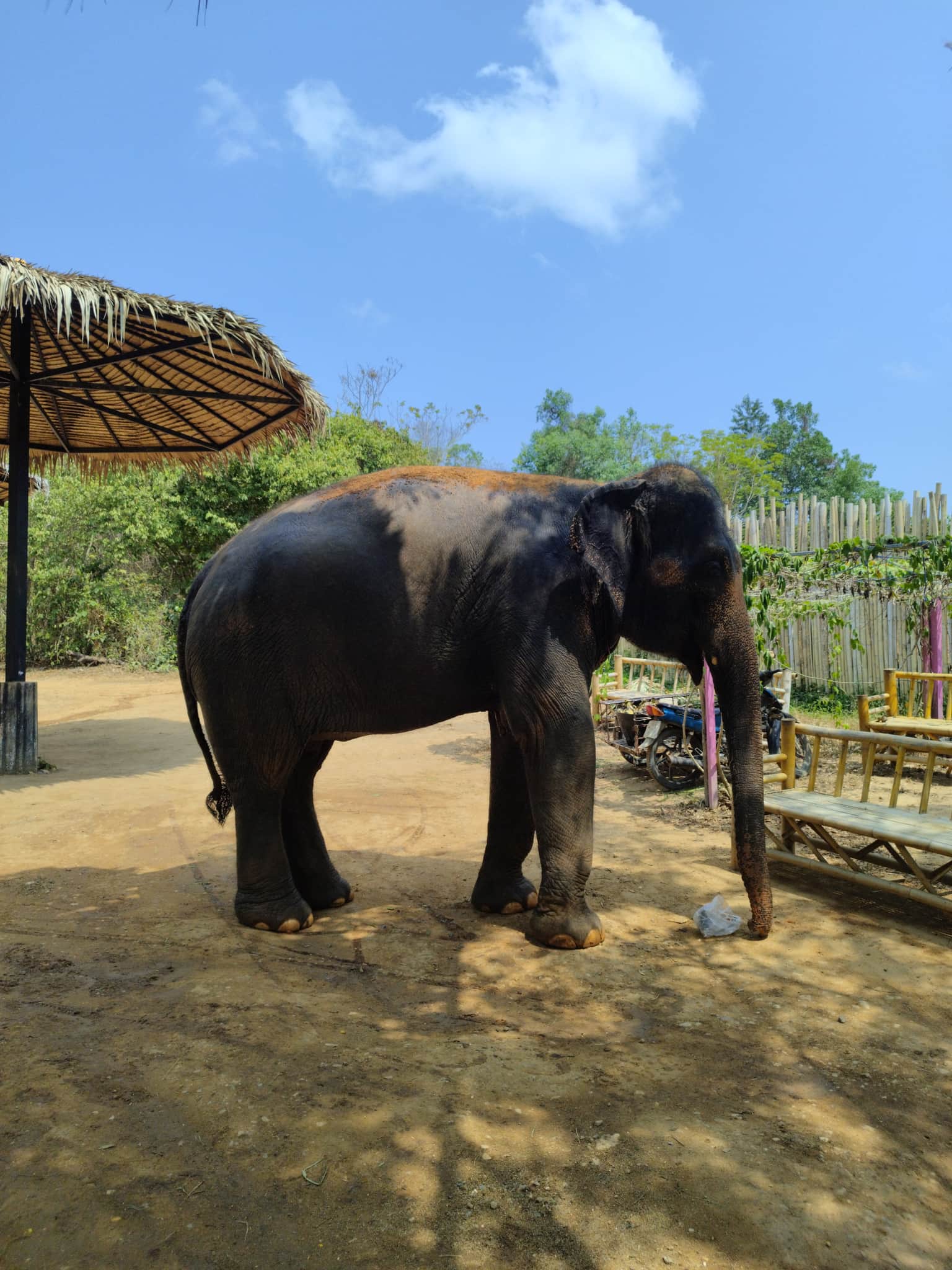Photo from Chiraag Krishna's trip